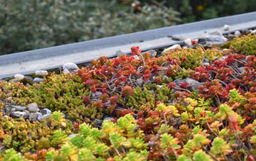 the cost of West Leake green roof installation