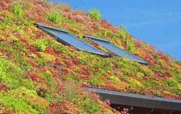 West Leake living roof systems